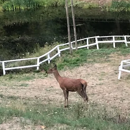 Romantic Yurt In Nature Reserve With Jacuzzi Luxuszelt *