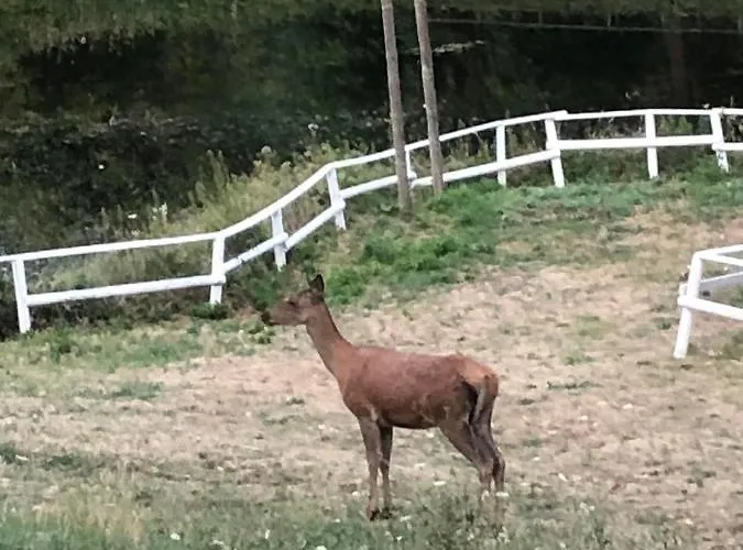 Romantic Yurt In Nature Reserve With Jacuzzi Luxuszelt *